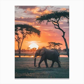 Sunset Elephant In The Savannah 1 Lienzo