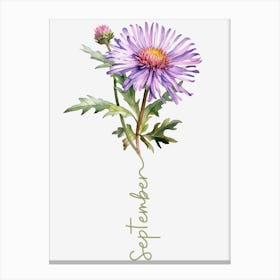 September Birth Flower Birth Month Botanical Canvas Print