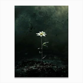 Flower In The Dark 59 Canvas Print