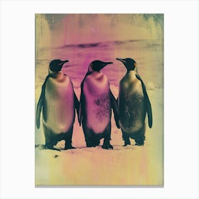 Polaroid Inspired Penguins 2 Canvas Print
