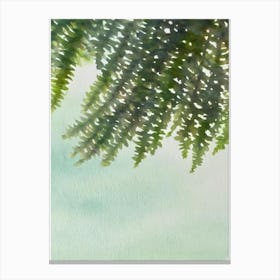 Acropora Loripes Storybook Watercolour Canvas Print