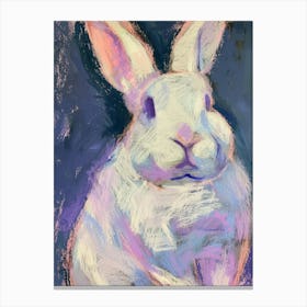 Rabbit 2 Canvas Print
