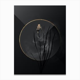 Shadowy Vintage Siberian Iris Botanical on Black with Gold Canvas Print
