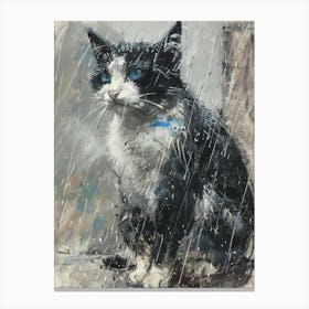 Cat In The Rain 11 Canvas Print