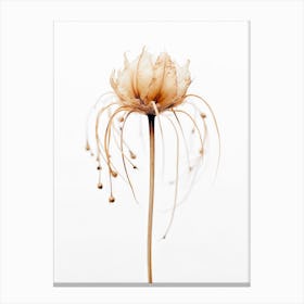 Tentacle Flower Canvas Print