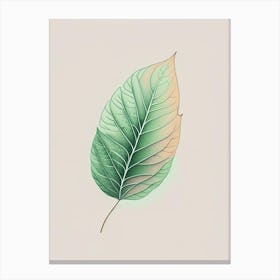 Mint Leaf Contemporary 7 Canvas Print