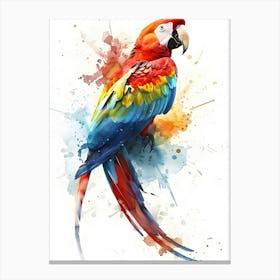 Colorful Parrot Colorful Illustration Canvas Print