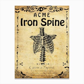 Acme Iron Spine Canvas Print