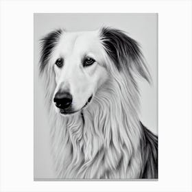 Borzoi B&W Pencil dog Canvas Print