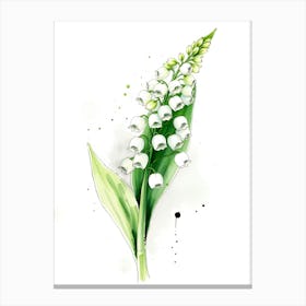 Lily Of The Valley 17 Canvas Print