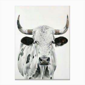 Longhorn Bull 4 Canvas Print