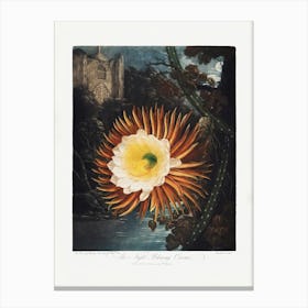 Vintage Botanical Temple Of Flora _2476836 Canvas Print