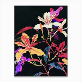 Neon Flowers On Black Bougainvillea 4 Canvas Print