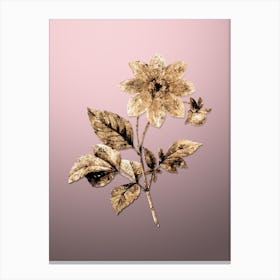 Gold Botanical Dahlia Simplex on Rose Quartz n.0805 Canvas Print
