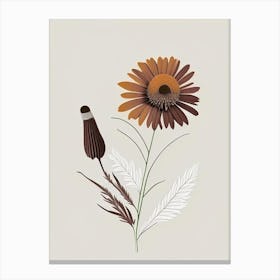 Echinacea Spices And Herbs Retro Minimal 1 Canvas Print