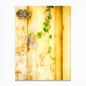 Number 26 Canvas Print