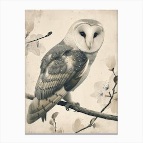 Barn Owl Vintage Illustration 3 Canvas Print