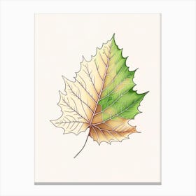 Maple Leaf Warm Tones 2 Canvas Print