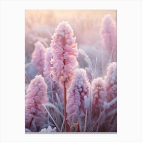 Frosty Botanical Hyacinth 3 Canvas Print