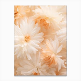 Boho Dried Flowers Calendula 1 Canvas Print