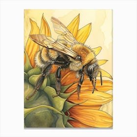 Colletidae Bee Storybook Illustration 10 Canvas Print