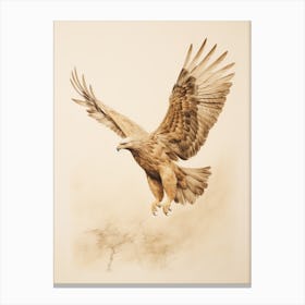 Vintage Bird Drawing Eagle 2 Canvas Print
