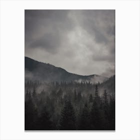Stormy Sky Over Wilderness Canvas Print