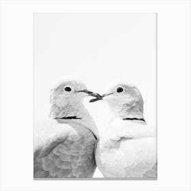 Love Birds 1 Canvas Print