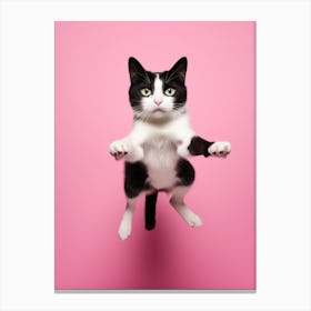 Cat Jumping On Pink Background 1 Canvas Print