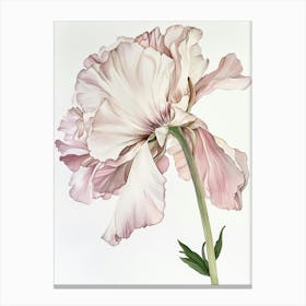 Watercolour Flower On White 6 Toile