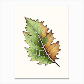 Oak Leaf Warm Tones Canvas Print