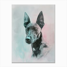 Cirneco Of Etna Dog Pastel Line Illustration Canvas Print