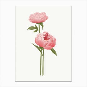 Pink Peony Flower Illustration Canvas Print