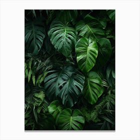 Tropical Leaves Background 1 Canvas Print
