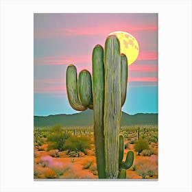 Cactus In The Sun Canvas Print