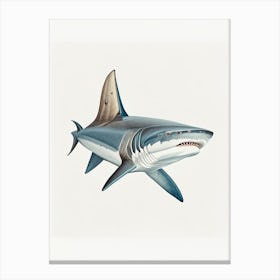 Porbeagle Shark 2 Vintage Canvas Print