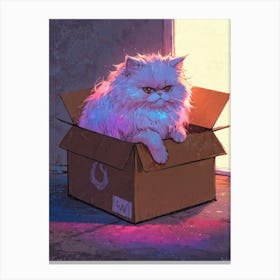 Cat In A Box 9 Canvas Print