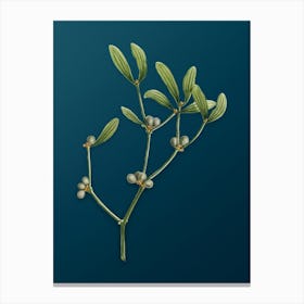 Vintage Viscum Album Branch Botanical Art on Teal Blue n.0451 Canvas Print