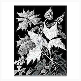 Elderberry Leaf Linocut 1 Canvas Print