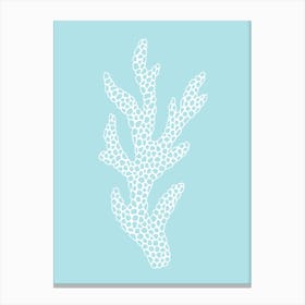 Coral Reef 1 Canvas Print