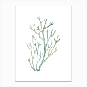 Coral Branch Watercolor Painting 1 Canvas Print