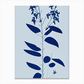 Blue Cohosh Herb Simplicity Canvas Print