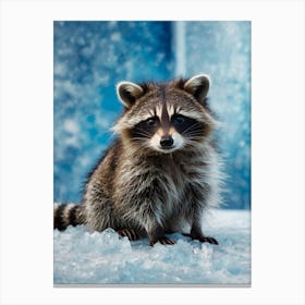 Raccoon On Ice Canvas Print