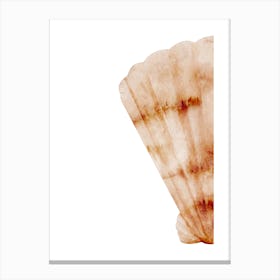 Colored seashells. Seashells. Summer.6 Canvas Print