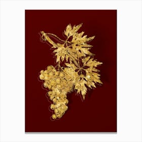 Vintage Grape Vine Botanical in Gold on Red n.0150 Canvas Print