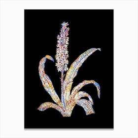 Stained Glass Eucomis Punctata Mosaic Botanical Illustration on Black n.0068 Canvas Print