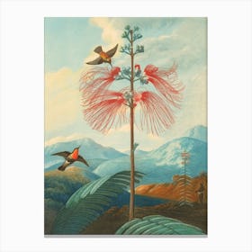 Hummingbirds On A Flower oil painting Canvas Print