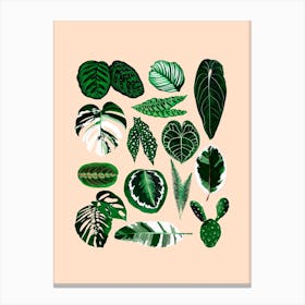 Plantlover Canvas Print