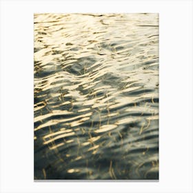 Water Ripples 6 Canvas Print
