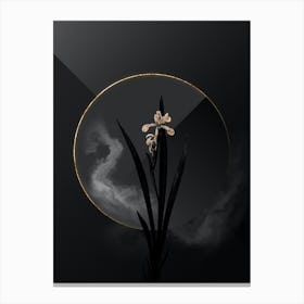 Shadowy Vintage Yellow Banded Iris Botanical in Black and Gold n.0101 Canvas Print